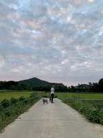 감독